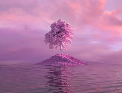 The art of dolor amet placerat